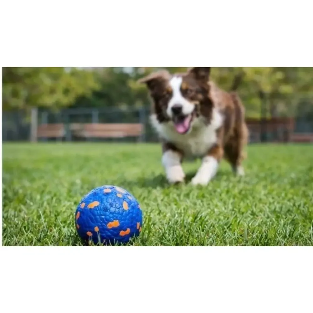 3-Heavy Duty Dog Ball for Aggressive Chewers, Durable Rubber Chew Toy, 3-Inch In